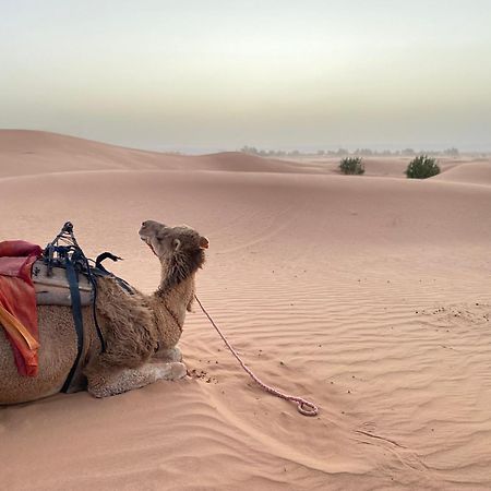 Erg Chebbi Sahara Camp Hotel เมอร์ซูกา ภายนอก รูปภาพ